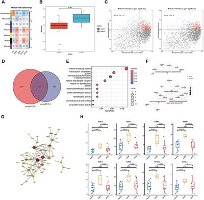 Brief research report: WGCNA-driven identification of histone modification genes as potential biomarkers in AQP4-Associated optic neuritis